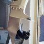 20240307_093543
